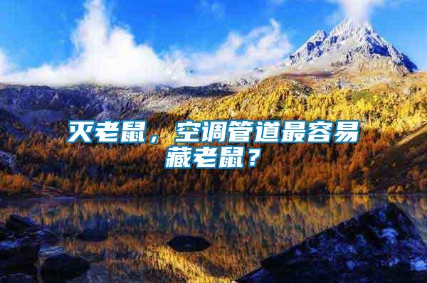 滅老鼠，空調(diào)管道最容易藏老鼠？