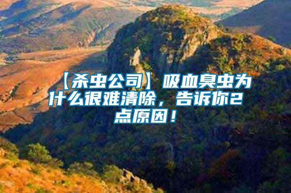 【殺蟲(chóng)公司】吸血臭蟲(chóng)為什么很難清除，告訴你2點(diǎn)原因！