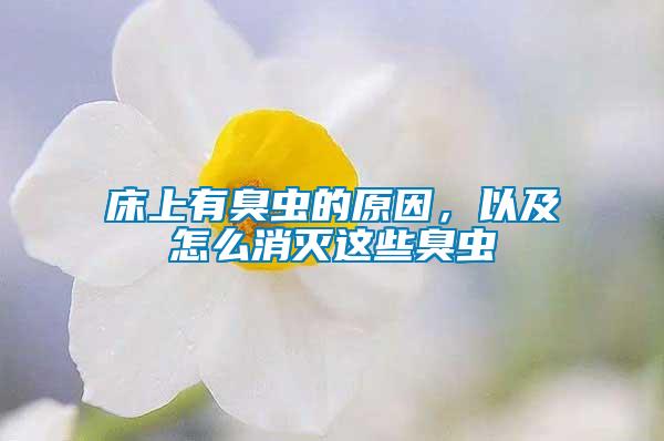 床上有臭蟲的原因，以及怎么消滅這些臭蟲