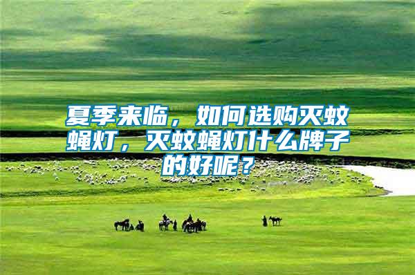 夏季來(lái)臨，如何選購(gòu)滅蚊蠅燈，滅蚊蠅燈什么牌子的好呢？