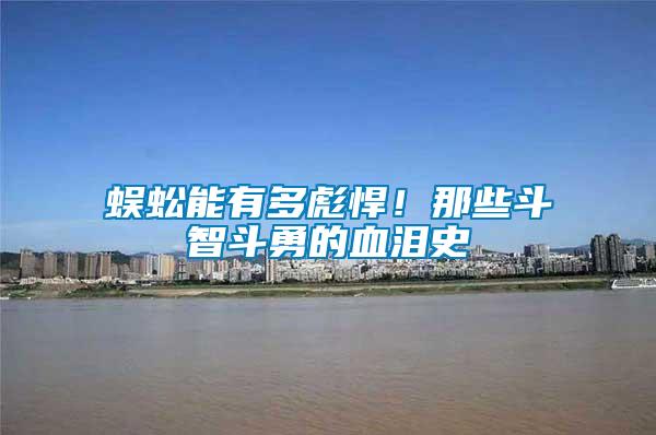 蜈蚣能有多彪悍！那些斗智斗勇的血淚史