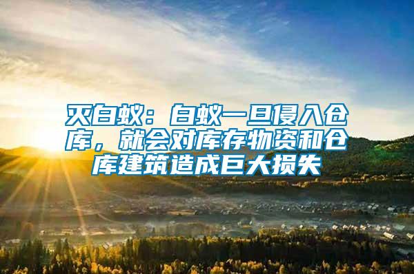 滅白蟻:白蟻一旦侵入倉庫,就會對庫存物資和倉庫建筑造成巨大損失