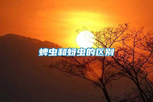 蜱蟲(chóng)和蚜蟲(chóng)的區(qū)別