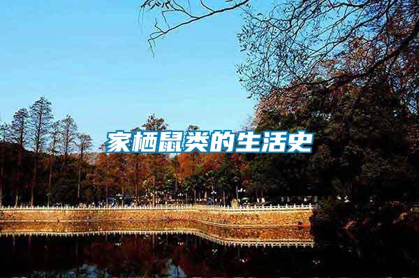 家棲鼠類(lèi)的生活史