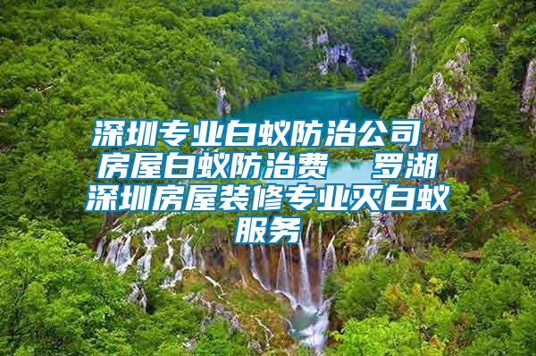 深圳專業(yè)白蟻防治公司 房屋白蟻防治費(fèi) 羅湖深圳房屋裝修專業(yè)滅白蟻服務(wù)