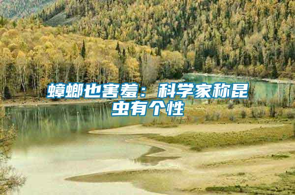 蟑螂也害羞:科學(xué)家稱昆蟲有個性