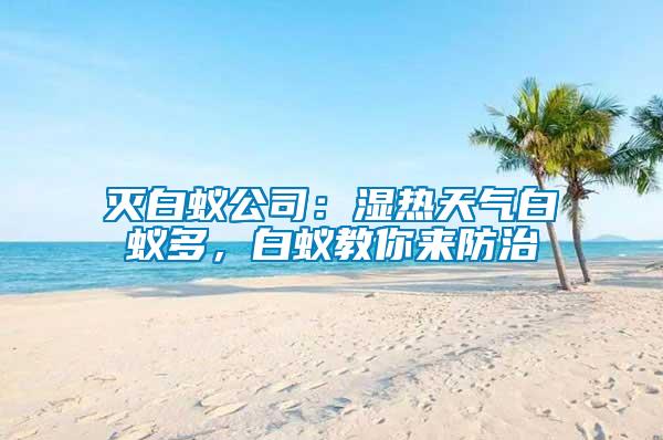 滅白蟻公司：濕熱天氣白蟻多，白蟻教你來防治