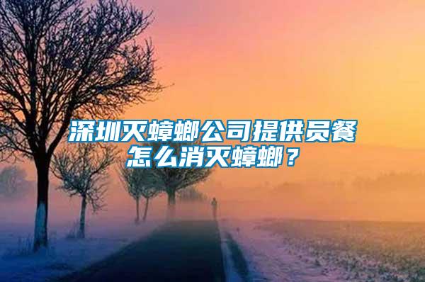 深圳滅蟑螂公司提供員餐怎么消滅蟑螂？