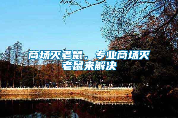 商場(chǎng)滅老鼠，專業(yè)商場(chǎng)滅老鼠來(lái)解決