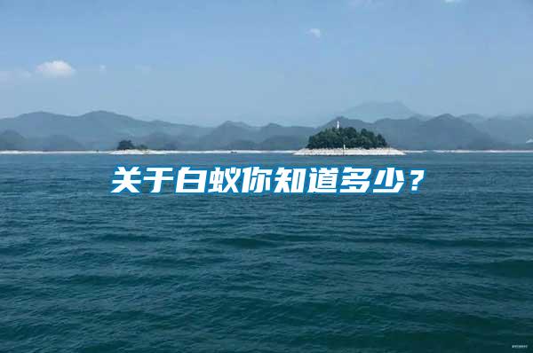關(guān)于白蟻你知道多少？