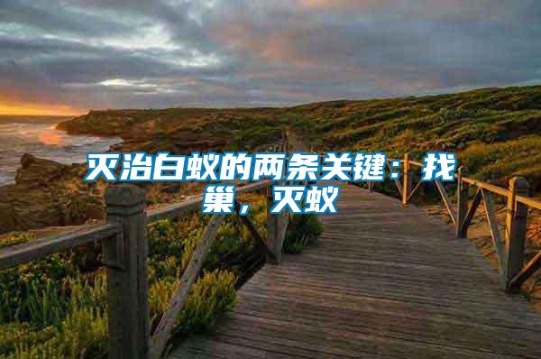 滅治白蟻的兩條關(guān)鍵：找巢，滅蟻