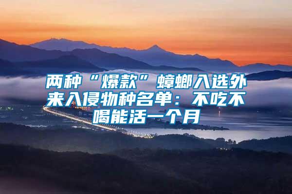 兩種“爆款”蟑螂入選外來入侵物種名單:不吃不喝能活一個(gè)月