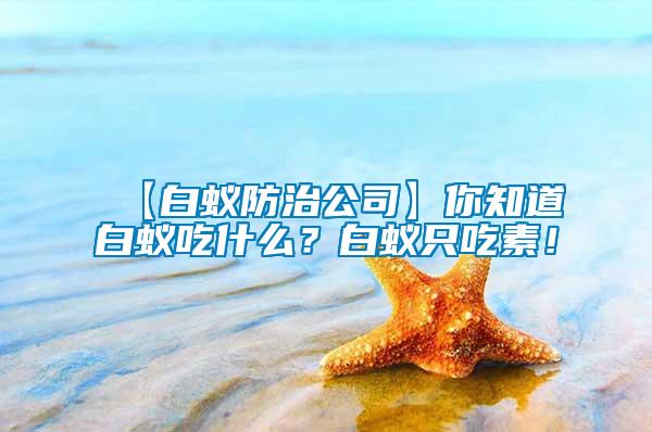 【白蟻防治公司】你知道白蟻吃什么？白蟻只吃素！