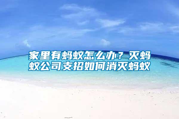 家里有螞蟻怎么辦？滅螞蟻公司支招如何消滅螞蟻