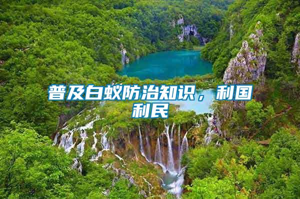 普及白蟻防治知識(shí)，利國利民