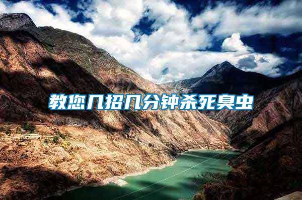 教您幾招幾分鐘殺死臭蟲(chóng)