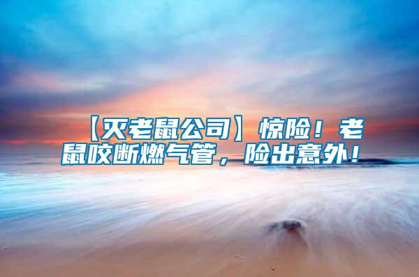 【滅老鼠公司】驚險(xiǎn)!老鼠咬斷燃?xì)夤?,險(xiǎn)出意外!