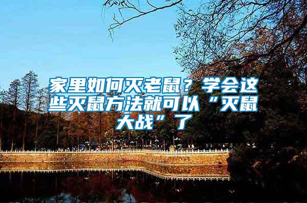 家里如何滅老鼠?學(xué)會這些滅鼠方法就可以“滅鼠大戰(zhàn)”了