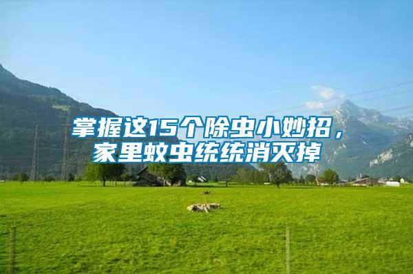掌握這15個除蟲小妙招，家里蚊蟲統(tǒng)統(tǒng)消滅掉