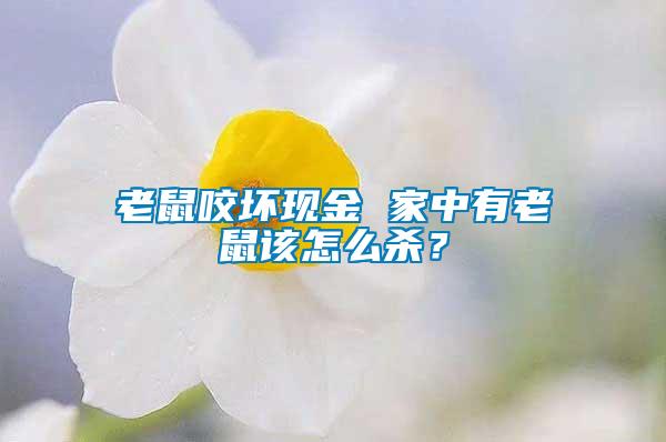 老鼠咬壞現金 家中有老鼠該怎么殺？