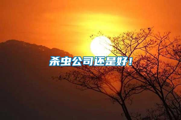 殺蟲公司還是好！