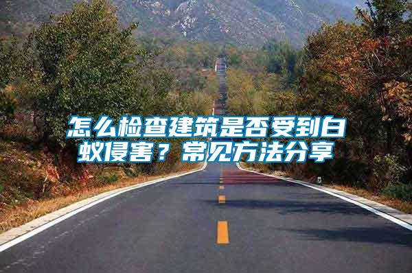 怎么檢查建筑是否受到白蟻侵害？常見(jiàn)方法分享