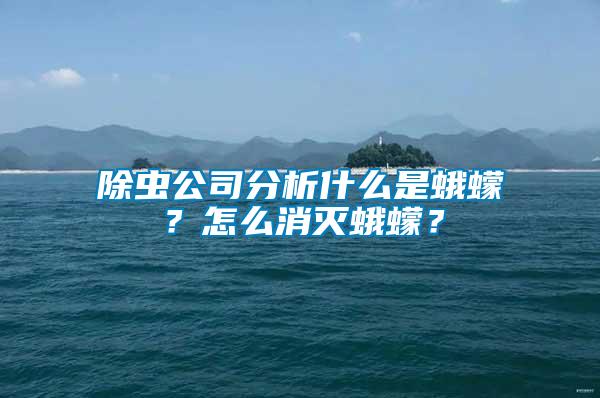 除蟲(chóng)公司分析什么是蛾蠓？怎么消滅蛾蠓？