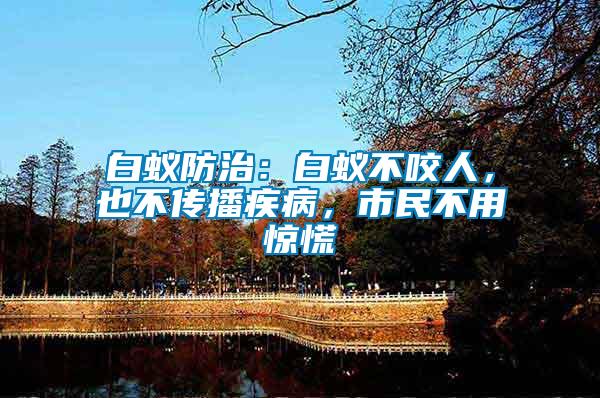 白蟻防治：白蟻不咬人，也不傳播疾病，市民不用驚慌