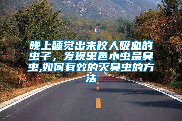 晚上睡覺出來咬人吸血的蟲子,發(fā)現(xiàn)黑色小蟲是臭蟲,如何有效的滅臭蟲的方法