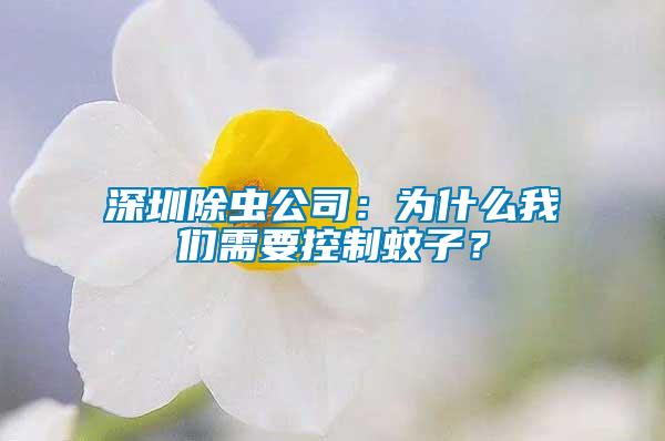 深圳除蟲公司:為什么我們需要控制蚊子?