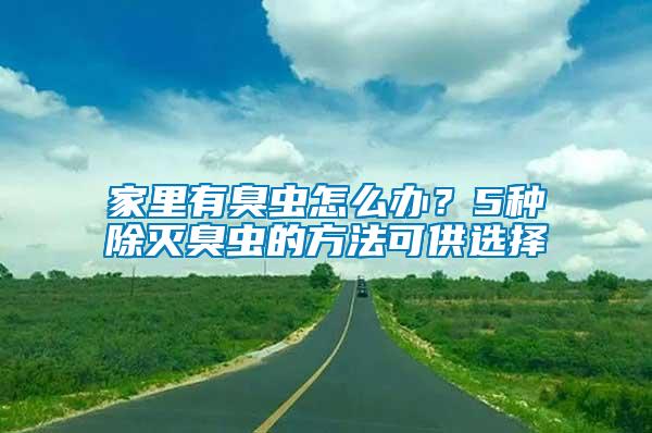 家里有臭蟲怎么辦？5種除滅臭蟲的方法可供選擇