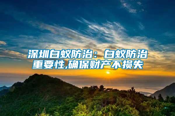 深圳白蟻防治:白蟻防治重要性,確保財產(chǎn)不損失