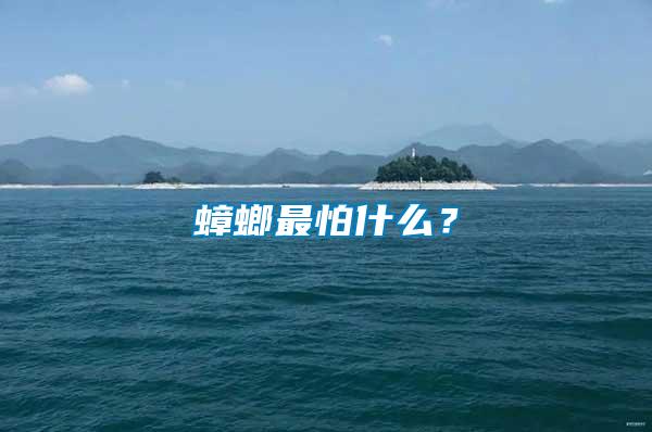 蟑螂最怕什么？