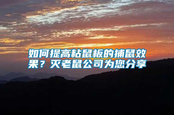 如何提高粘鼠板的捕鼠效果？滅老鼠公司為您分享