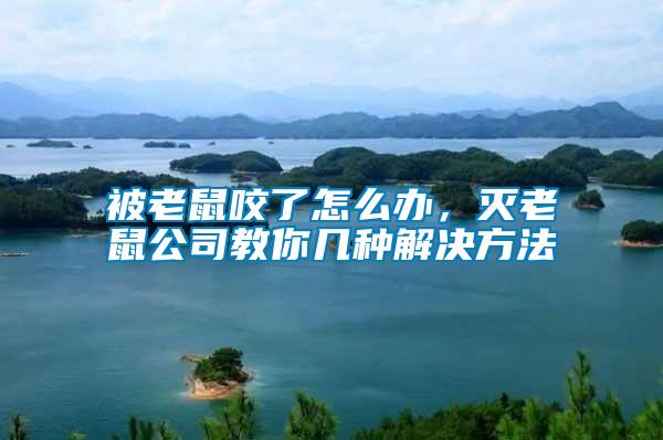 被老鼠咬了怎么辦，滅老鼠公司教你幾種解決方法