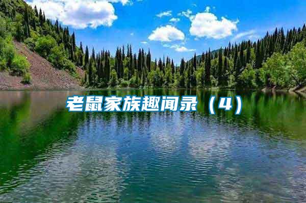 老鼠家族趣聞錄(4)