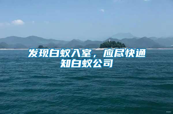 發(fā)現(xiàn)白蟻入室，應(yīng)盡快通知白蟻公司