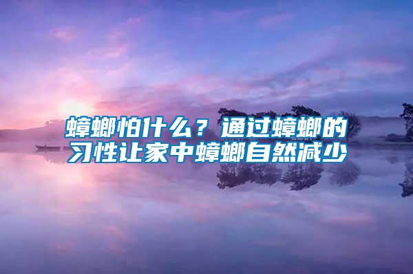 蟑螂怕什么？通過蟑螂的習(xí)性讓家中蟑螂自然減少