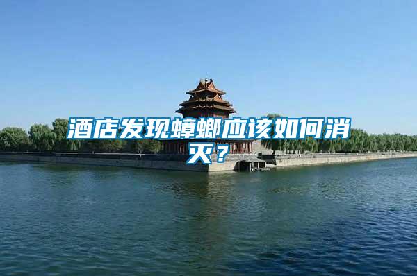 酒店發(fā)現(xiàn)蟑螂應該如何消滅？