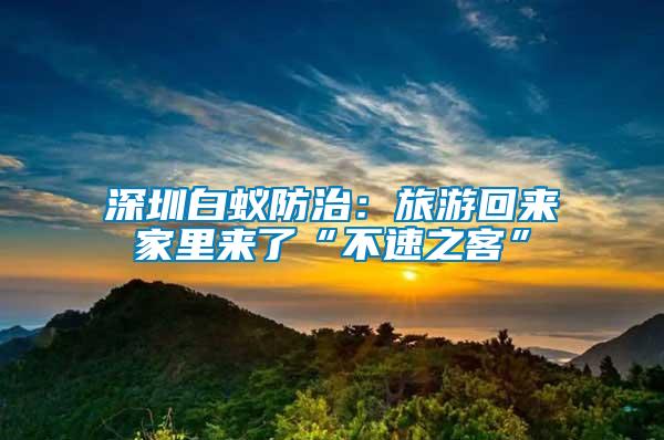 深圳白蟻防治:旅游回來家里來了“不速之客”
