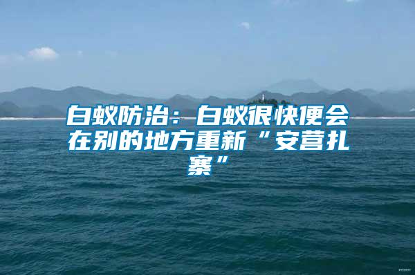 白蟻防治:白蟻很快便會在別的地方重新“安營扎寨”