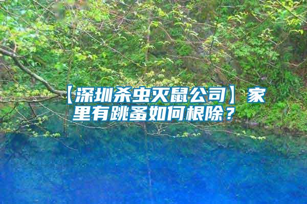 【深圳殺蟲滅鼠公司】家里有跳蚤如何根除？