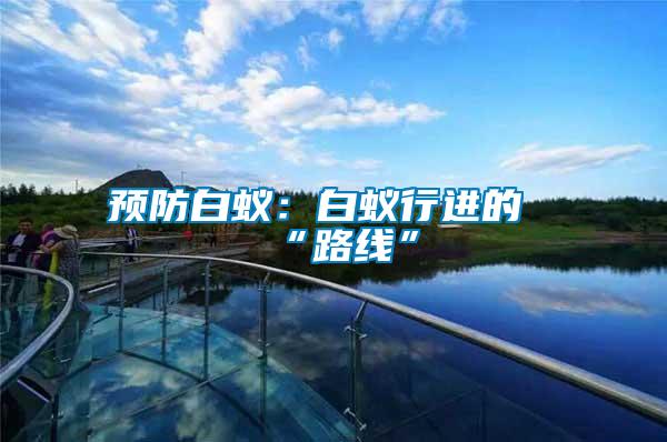 預(yù)防白蟻:白蟻行進(jìn)的“路線”