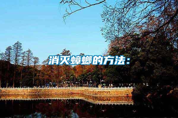 消滅蟑螂的方法: