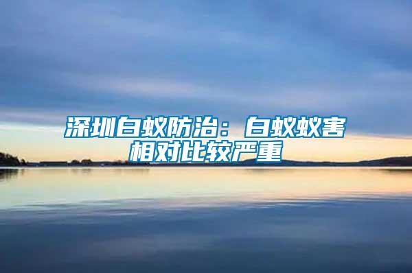 深圳白蟻防治:白蟻蟻害相對比較嚴(yán)重