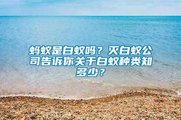 螞蟻是白蟻嗎？滅白蟻公司告訴你關于白蟻種類知多少？