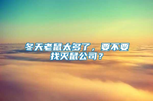 冬天老鼠太多了，要不要找滅鼠公司？