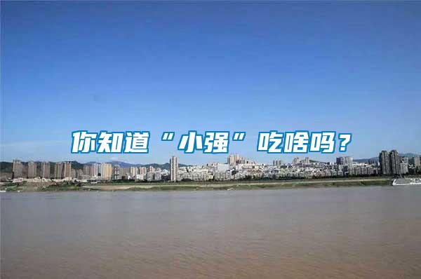 你知道“小強”吃啥嗎？