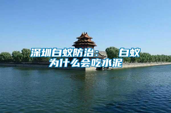 深圳白蟻防治: 白蟻為什么會(huì)吃水泥