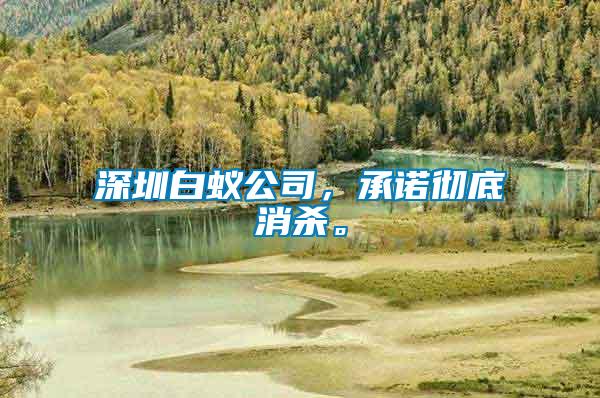 深圳白蟻公司，承諾徹底消殺。